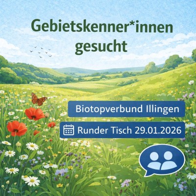 Illingen sucht Gebietskenner für Biotopverbundplanung